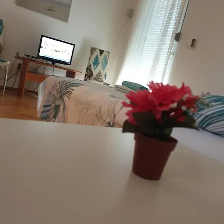 Studio Apartman Ruzmarin